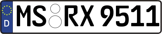 MS-RX9511