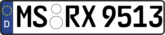 MS-RX9513