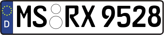 MS-RX9528