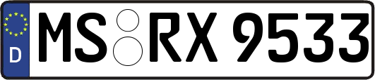 MS-RX9533