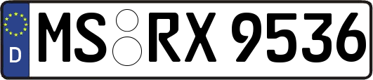 MS-RX9536