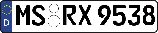 MS-RX9538