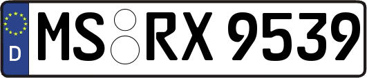 MS-RX9539