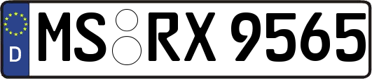 MS-RX9565