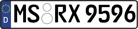 MS-RX9596