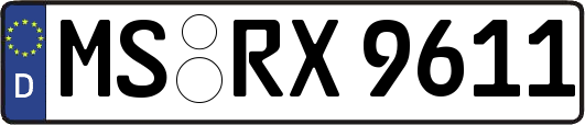 MS-RX9611
