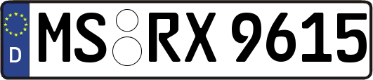 MS-RX9615