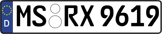 MS-RX9619