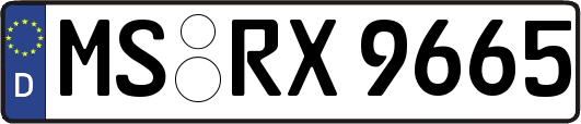 MS-RX9665