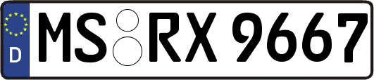 MS-RX9667
