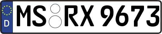 MS-RX9673