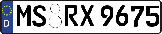 MS-RX9675