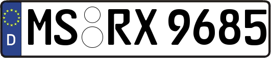 MS-RX9685