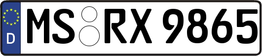 MS-RX9865