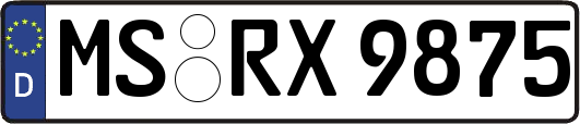 MS-RX9875