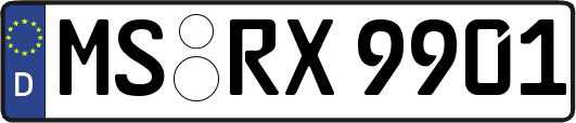 MS-RX9901