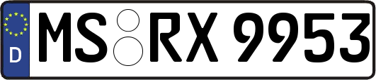 MS-RX9953
