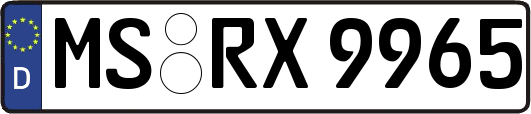 MS-RX9965