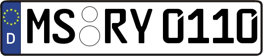 MS-RY0110