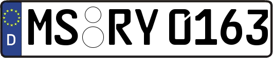 MS-RY0163