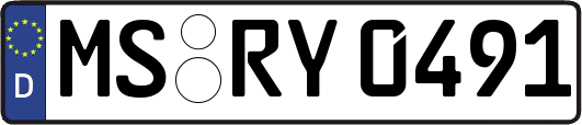 MS-RY0491