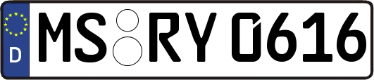 MS-RY0616