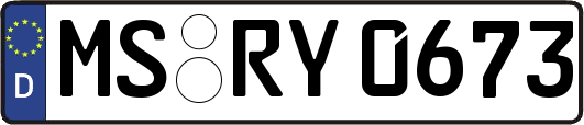 MS-RY0673