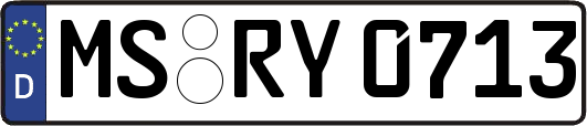 MS-RY0713