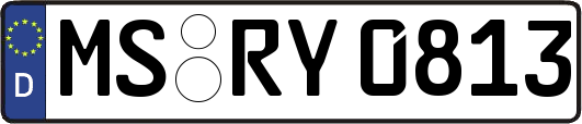 MS-RY0813