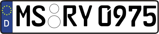 MS-RY0975