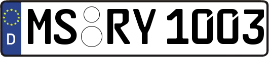 MS-RY1003