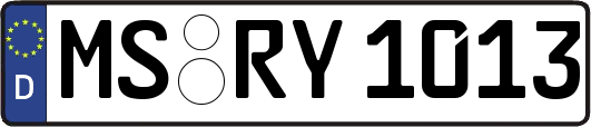 MS-RY1013