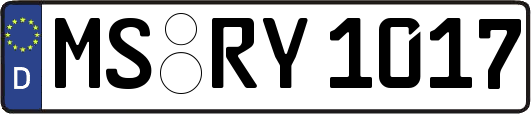 MS-RY1017