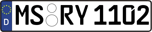 MS-RY1102