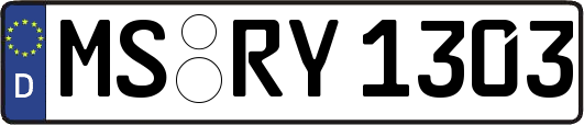 MS-RY1303
