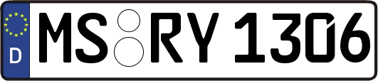 MS-RY1306