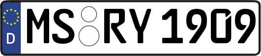 MS-RY1909