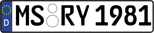 MS-RY1981