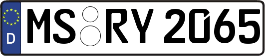 MS-RY2065