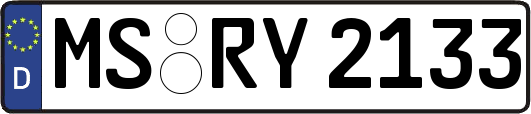 MS-RY2133