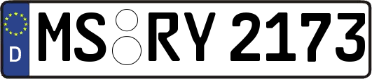 MS-RY2173