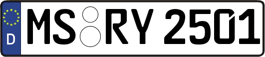 MS-RY2501
