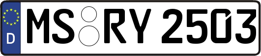MS-RY2503