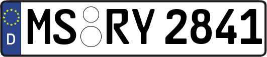 MS-RY2841