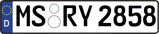 MS-RY2858