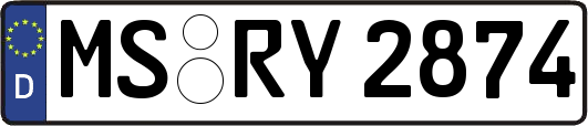MS-RY2874