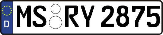 MS-RY2875