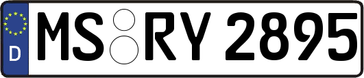 MS-RY2895