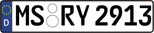 MS-RY2913