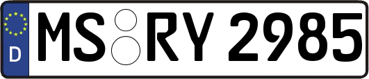MS-RY2985
